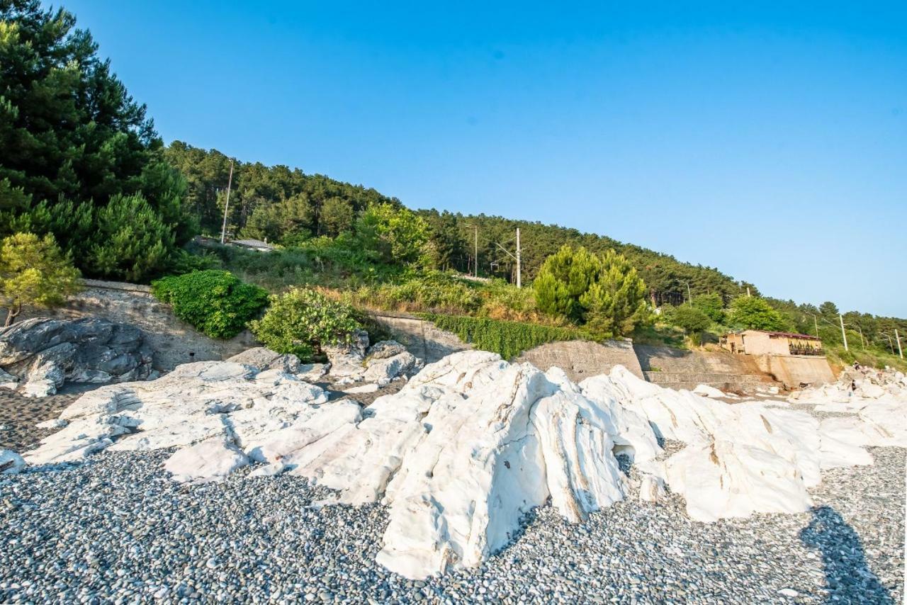 Park-Hotel Abkhazia Tsandrypsh ภายนอก รูปภาพ